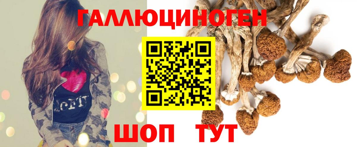 Великие Луки  Галлюциногенные грибы MAGIC MUSHROOMS  Вход с VPN  Галлюциногенные грибы MAGIC MUSHROOMS 